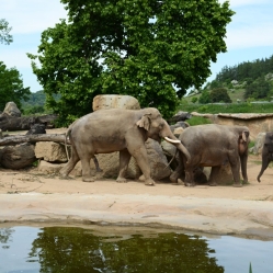 2. třída na výletě v ZOO Praha